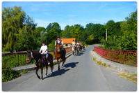 Balades estivales à cheval